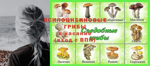 герыч Тайга