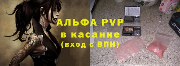 стаф Ивангород