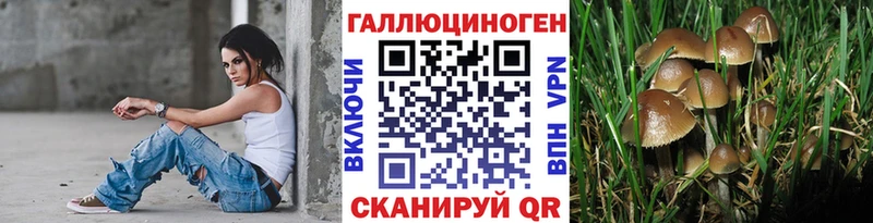 Псилоцибиновые грибы Psilocybine cubensis  наркотики  Гаврилов-Ям 