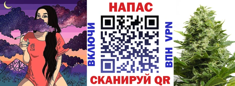 МЕГА ссылки  Гаврилов-Ям  Каннабис VHQ  где продают наркотики 